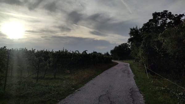 Reise-Update vom 28.08.2026 05:48
